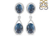 Labradorite Earring LBD-RDE-73.
