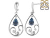 Labradorite Earring LBD-RDE-76.