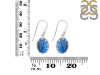 Labradorite Earring LBD-RDE-833.