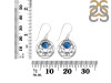 Labradorite Earring LBD-RDE-84.
