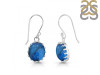 Lapis Earring LLP-RDE-841.