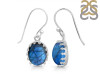 Labradorite Earring LBD-RDE-843.