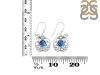 Labradorite Earring LBD-RDE-88.