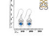 Labradorite Earring LBD-RDE-91.
