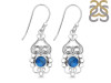 Labradorite Earring LBD-RDE-91.
