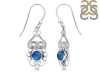 Labradorite Earring LBD-RDE-91.