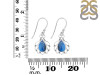 Labradorite Earring LBD-RDE-92.