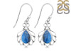 Labradorite Earring LBD-RDE-92.
