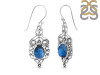 Labradorite Earring LBD-RDE-93.