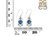 Labradorite Earring LBD-RDE-95.
