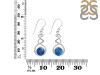 Labradorite Earring LBD-RDE-97.