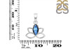 Labradorite Butterfly Pendant LBD-RDEP-883.