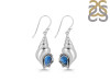Labradorite Shell Earring LBD-RUE-49.