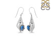 Labradorite Shell Earring LBD-RUE-49.