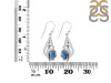 Labradorite Shell Earring LBD-RUE-49.