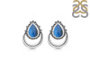 Labradorite Stud Earring LBD-RE-2.
