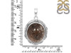 Lodalite Pendant-SP LDL-1-18
