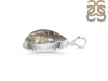 Lodalite Pendant-SP LDL-1-21