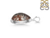 Lodalite Pendant-SP LDL-1-25