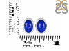 Lapis Stud Earring LLP-RDE-1112.