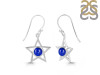 Lapis Earring LLP-RDE-567.