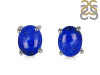 Lapis Stud Earring LLP-RDE-791.