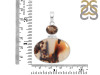 Montana Agate/Smoky Pendant-2SP MTA-1-209