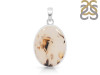 Montana Agate Pendant-SP MTA-1-216