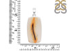 Montana Agate Pendant-SP MTA-1-225