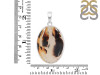 Montana Agate Pendant-SP MTA-1-231