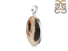 Montana Agate Pendant-SP MTA-1-231