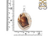 Montana Agate Pendant-SP MTA-1-232