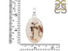 Montana Agate Pendant-SP MTA-1-237