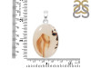 Montana Agate Pendant-SP MTA-1-238