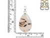 Montana Agate Pendant-SP MTA-1-242