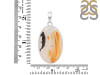 Montana Agate Pendant-SP MTA-1-244