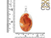 Montana Agate Pendant-SP MTA-1-248