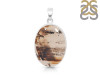 Montana Agate Pendant-SP MTA-1-249
