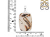 Montana Agate Pendant-SP MTA-1-250