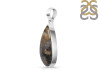 Plume Agate Pendant-SP PLA-1-1