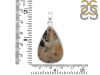 Plume Agate Pendant-SP PLA-1-12
