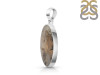 Plume Agate Pendant-SP PLA-1-13