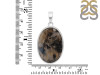 Plume Agate Pendant-SP PLA-1-14