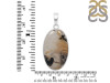 Plume Agate Pendant-SP PLA-1-15