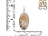 Plume Agate Pendant-SP PLA-1-16