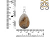 Plume Agate Pendant-SP PLA-1-18