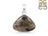 Plume Agate Pendant-SP PLA-1-23