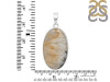 Plume Agate Pendant-SP PLA-1-26