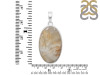 Plume Agate Pendant-SP PLA-1-27