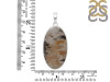 Plume Agate Pendant-SP PLA-1-30